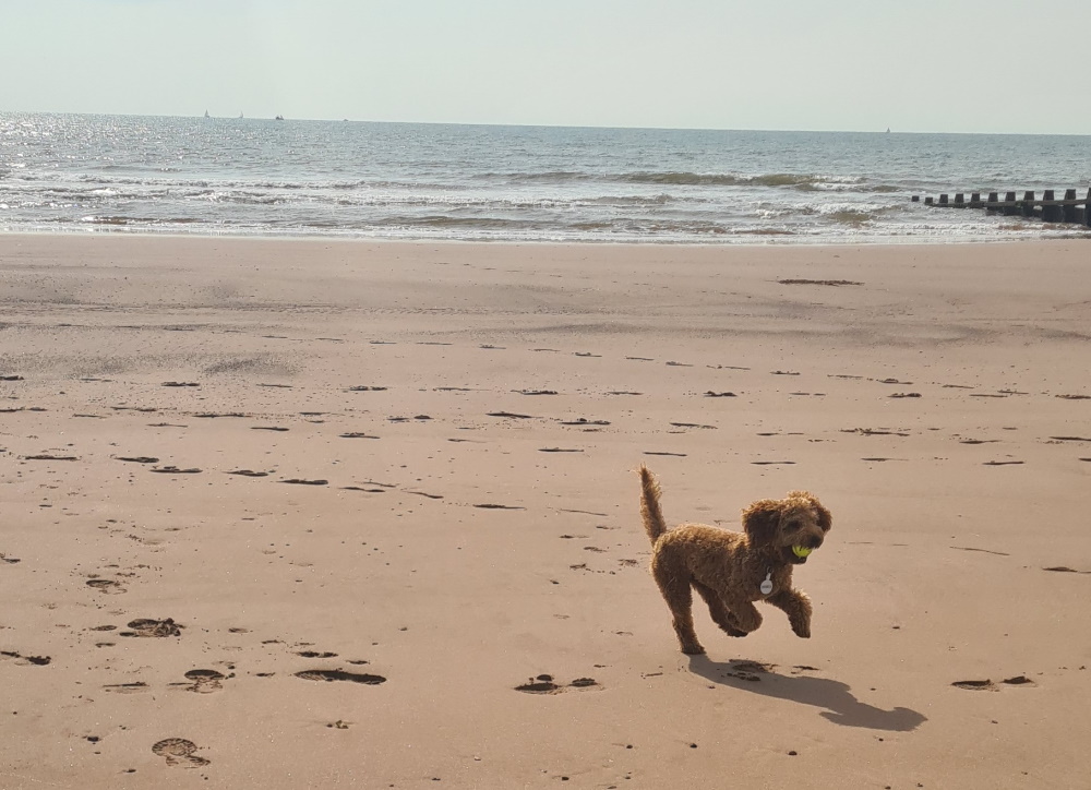 Dawlish Warren